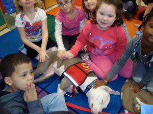 Pit Bull Hero & Therapy Dog Gladys